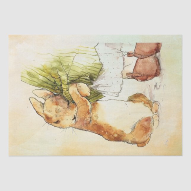 Peter Rabbit 9Tissue Seidenpapier (Vorderseite)