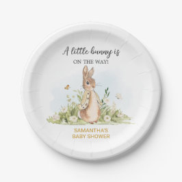 Peter Rabbit Baby Shower Pappteller