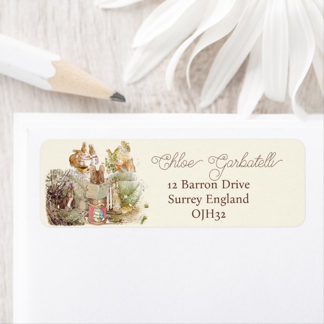 Peter Rabbit Beatrix Potter Collage Vintag Art (Insitu)