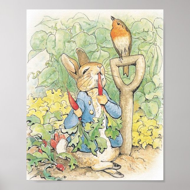 Peter Rabbit im Garten - Beatrix Potter Poster (Vorne)