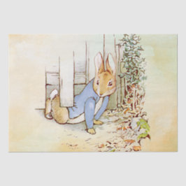 Peter Rabbit Tissue Paper Seidenpapier