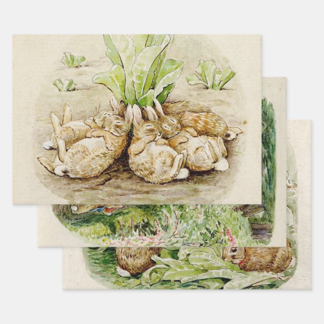 Peter the Rabbit Garden Baby Shower Geschenkpapier Set (Set)