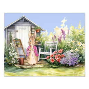 Peter the Rabbit Pink Jacket Garden Shed Fotodruck