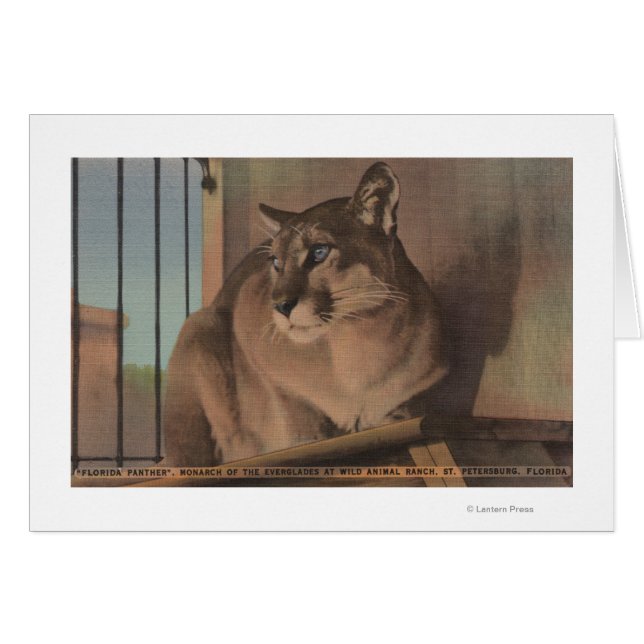 Petersburg, Florida - Bild von Florida (Vorderseite (Horizontal))