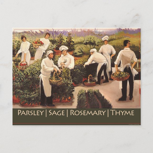 Petersilie, Sage, Rosemary und Thyme Postkarte (Vorderseite)