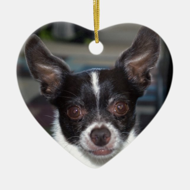 Petey die Chihuahua Keramikornament (Vorne)