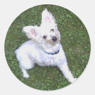 Petey Le Sticker Pom-A-Poo