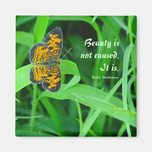 Petit aimant papillon