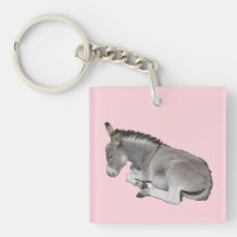Petit Âne gris mignon Bébé poulain Dormir