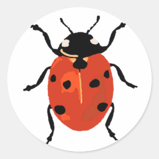 Petit autocollant Ladybird