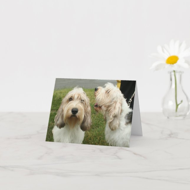 Petit Basette Griffon Vendeen Blank Card Karte (Kleines Gewächs)