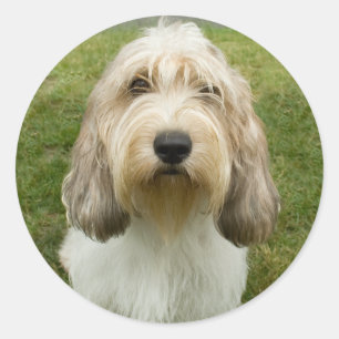 Petit Basette Griffon Vendeen Runder Aufkleber