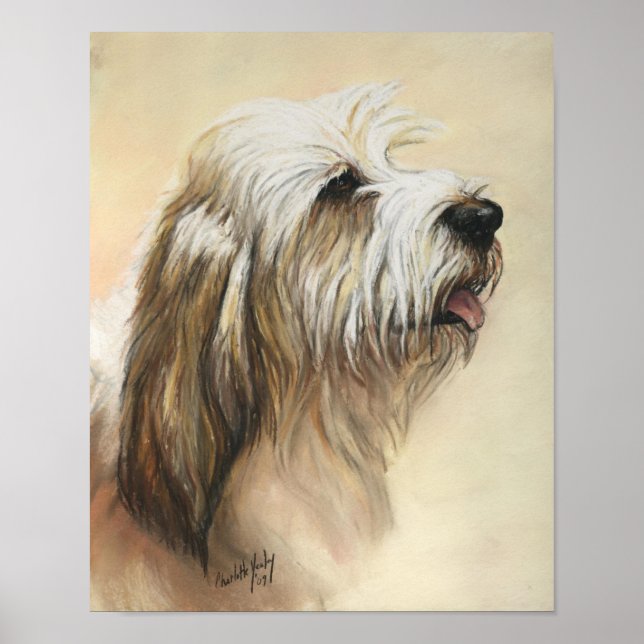 Petit Basset Griffon Vendeen Dog Art Print Poster (Vorne)