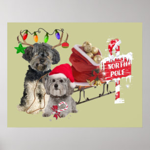 Petit Basset Griffon Vendeen North Pole Poster