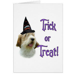 Petit Basset Griffon Vendees Trick
