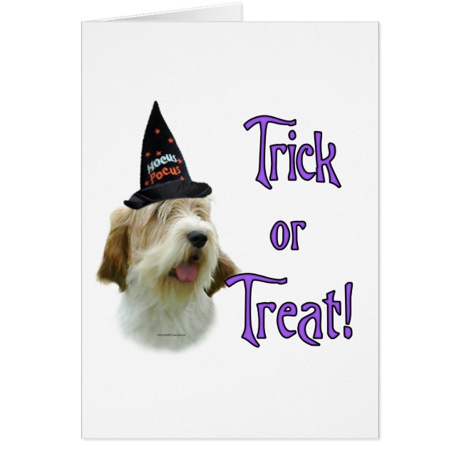 Petit Basset Griffon Vendees Trick (Vorne)