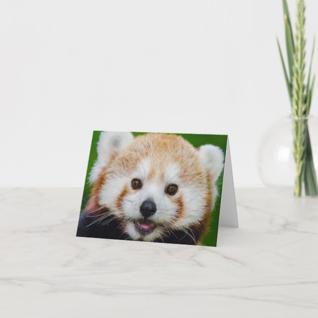 PETIT Carte pour notes BLANC : PANDA ROUGE (Devant)