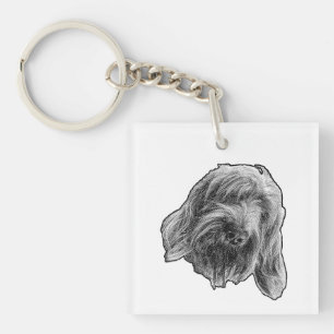 Petit Chaleur Spinone