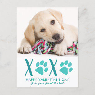 Petit chien animal de compagnie photo XOXO Carte d