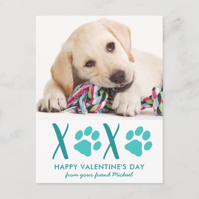 Petit chien animal de compagnie photo XOXO Carte d (Devant)
