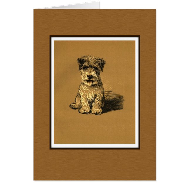 Petit Chien Chien Chien Chien Chien Chien Chien De (Devant)
