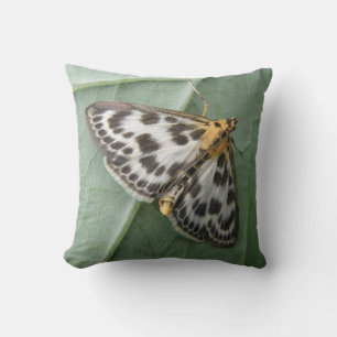 Petit Coussin de papillon