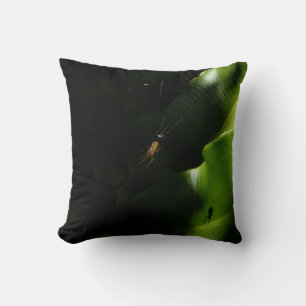 Petit Coussin Spider