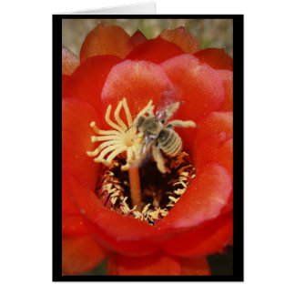 Petit déjeuner d'abeille