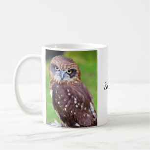 Petit hibou Mug