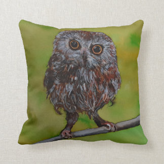 Petit hibou peignant sur un coussin