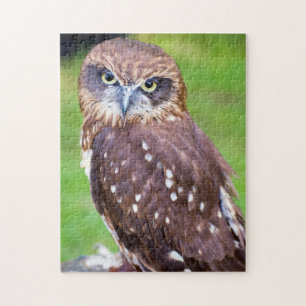 Petit hibou puzzle