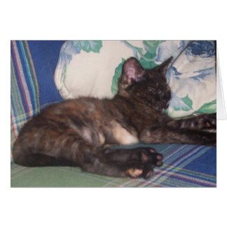 Petit Kitty