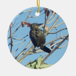 Petit oiseau dans un ornement commémoratif d'arbre