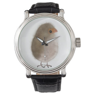 Petit oiseau dans une montre !