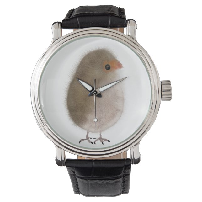 Petit oiseau dans une montre ! (devant)