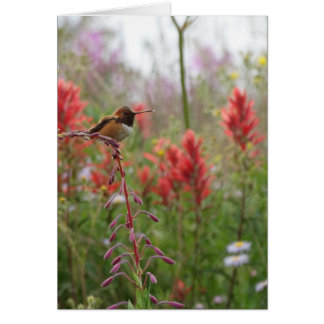 Petit oiseau gras