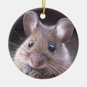 Petit ornement de souris