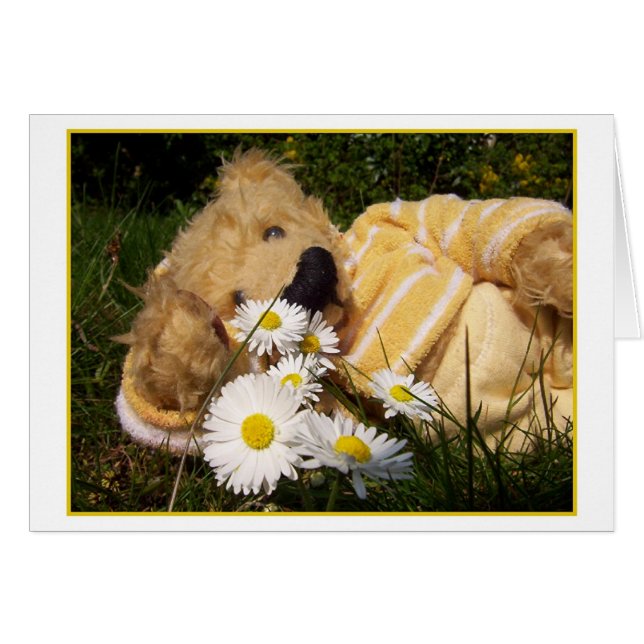 petit ours de marguerite (Devant horizontal)