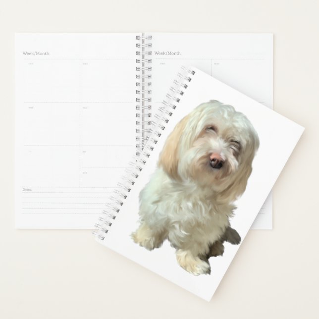 Petit planificateur Havanese Chien (Devant avec enveloppe)