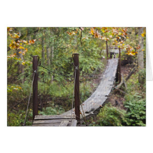 Petit pont suspendu, Patrimoine national du charbo