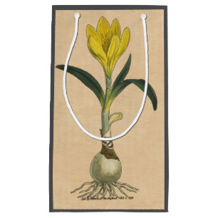 Petit Sac Cadeau Amaryllis Tulip Jardin Botanique Fleur