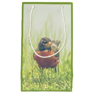 Petit Sac Cadeau American Robin Bird Green