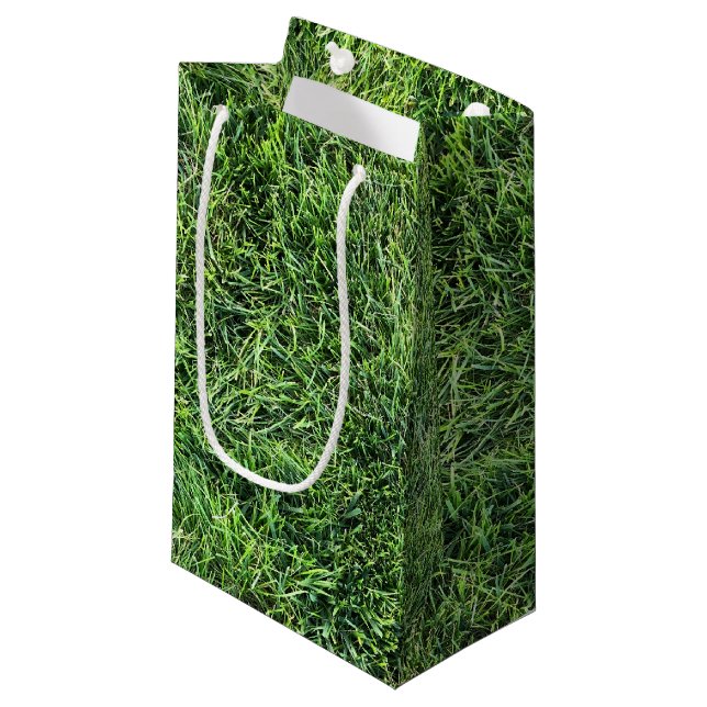 Petit Sac Cadeau Amusante herbe verte vraie texture photo motif pla (Devant Angle)