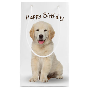 Petit Sac Cadeau Anniversaire Golden Retriever Chiot sur blanc