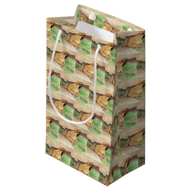 Petit Sac Cadeau Aquarelle de grenouille à bois (Devant Angle)