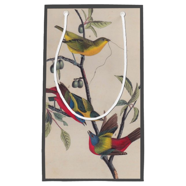 Petit Sac Cadeau Audubon Peint Bunting Bird Wildlife (Devant)