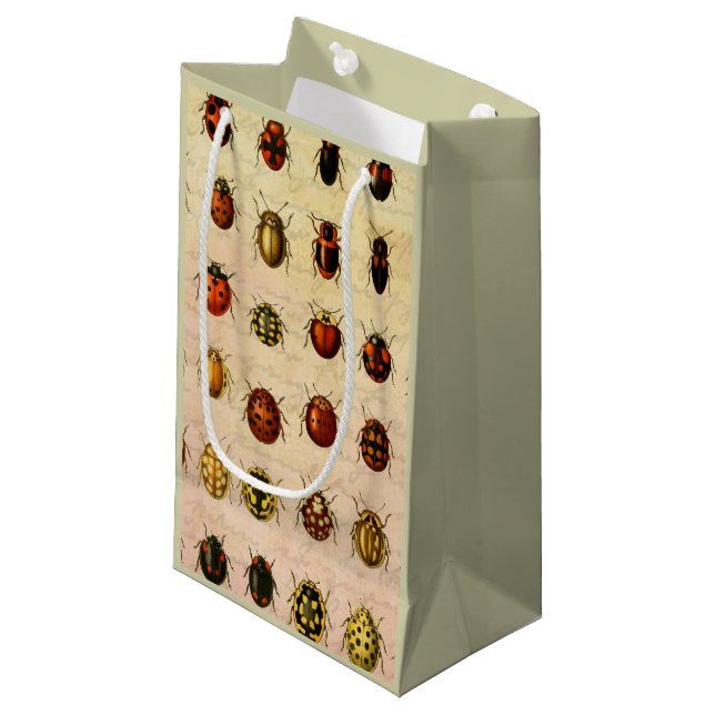 Petit Sac Cadeau Bug d'insectes coccinelle de coccinelle (Devant Angle)