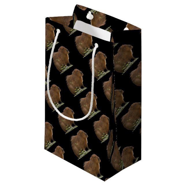 Petit Sac Cadeau Capybara (Devant Angle)