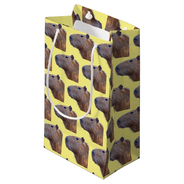 Petit Sac Cadeau Capybara (Devant Angle)