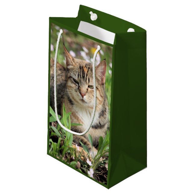 Petit Sac Cadeau Cat (Devant Angle)